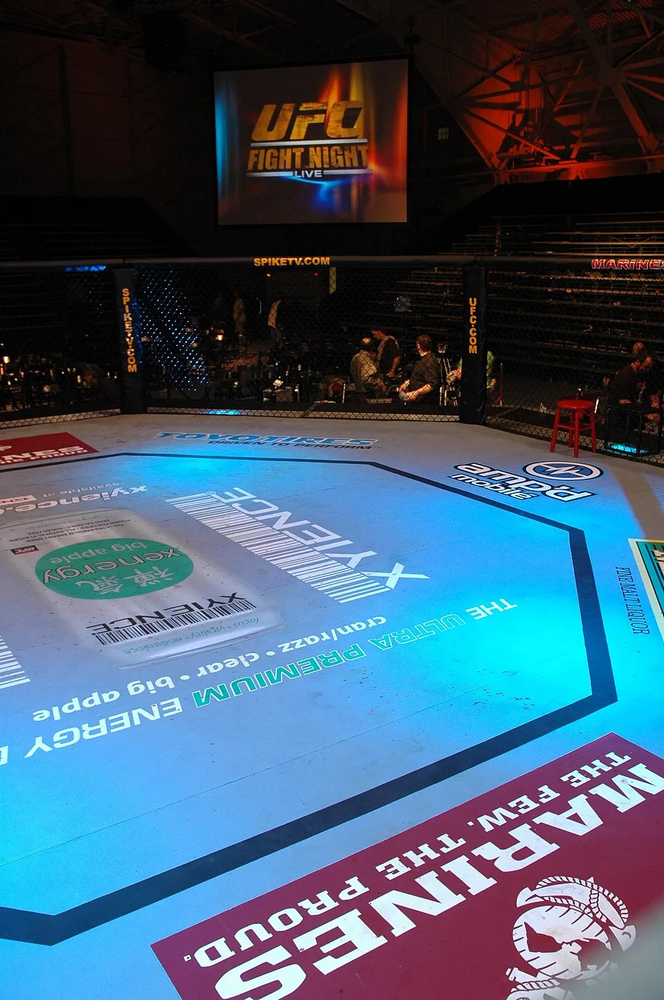 UFC octagon—editorial context for UFC 328 coverage; not a photo from Newark